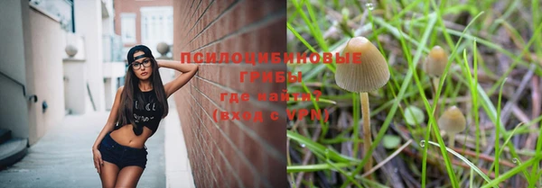 спиды Гусь-Хрустальный