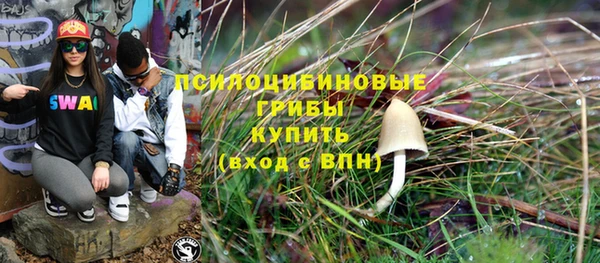 мет Гусев
